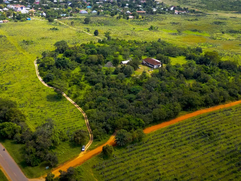 Aerial view of the site, green fields and the access road